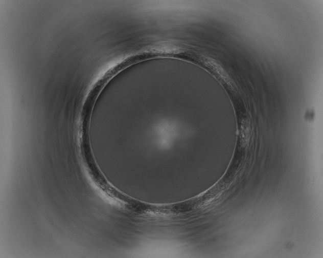 X0000091080726200708201433