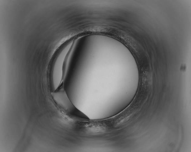 X0000091080727200708201433