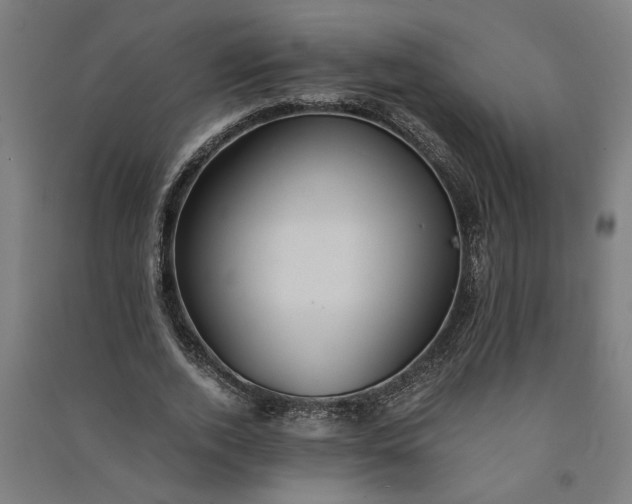 X0000091080728200708201433