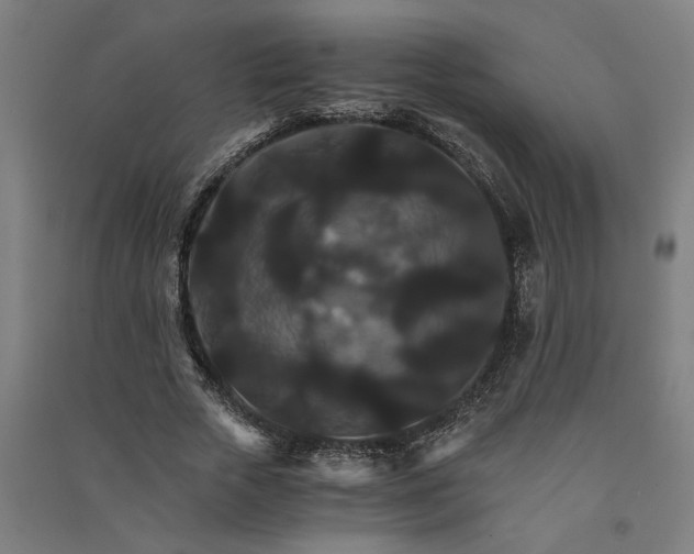 X0000091080729200708201433