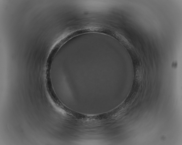 X0000091080730200708201433