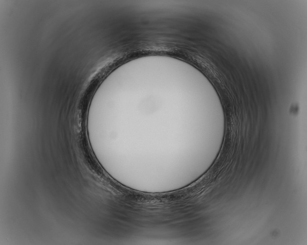 X0000091080731200708201433