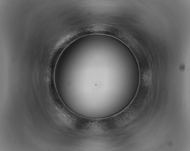 X0000091080732200708201433