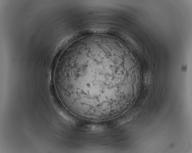 X0000091080733200708201433