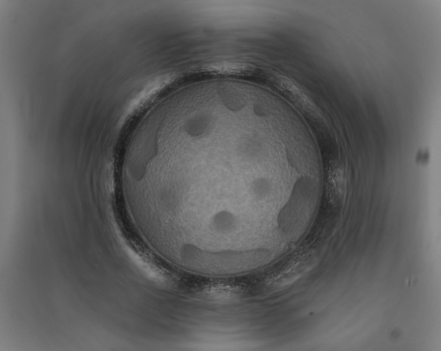 X0000091080734200708201433