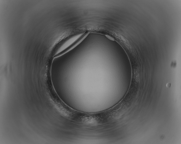 X0000091080735200708201433