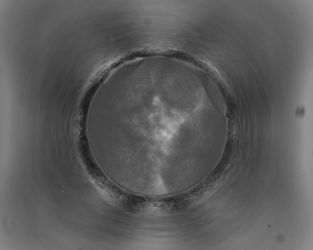 X0000091080736200708201433