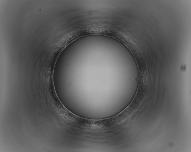 X0000091080737200708201433