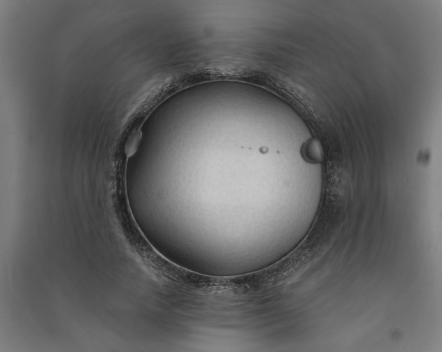 X0000091080738200708201433