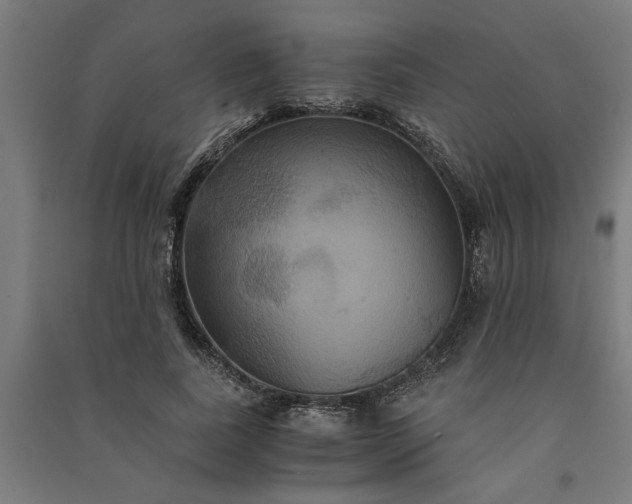 X0000091080739200708201433