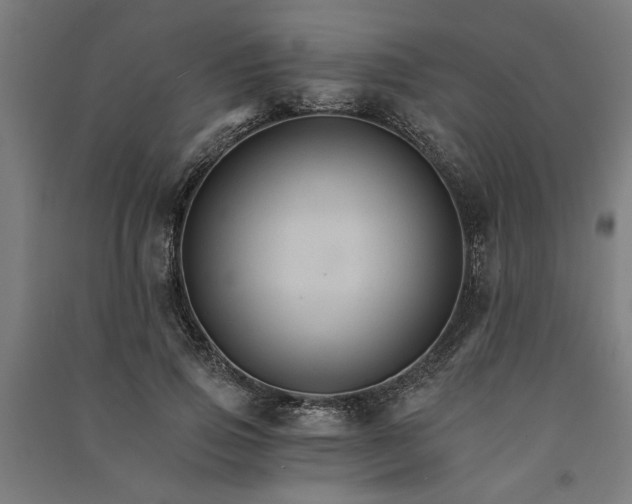 X0000091080741200708201433