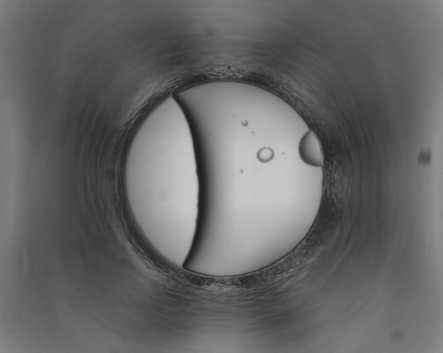 X0000091080742200708201433