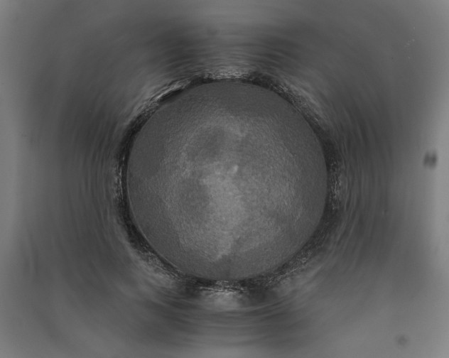 X0000091080743200708201433