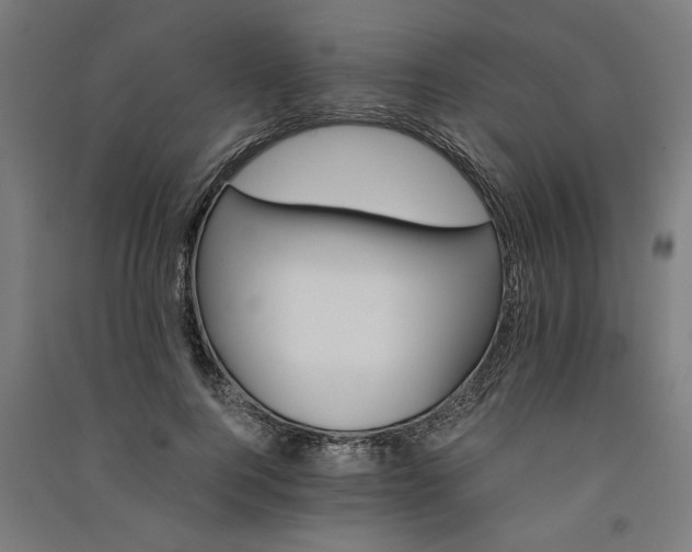 X0000091080744200708201433