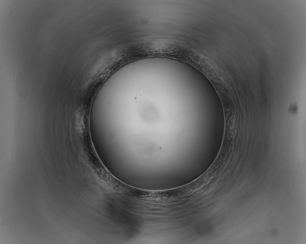 X0000091080746200708201433