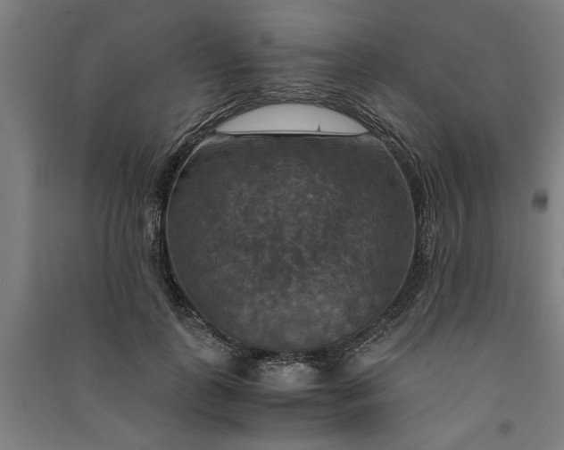 X0000091080747200708201433