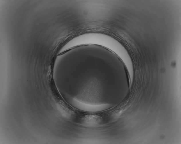 X0000091080748200708201433