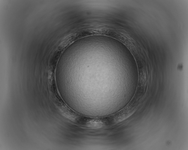 X0000091080749200708201433