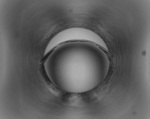 X0000091080750200708201433