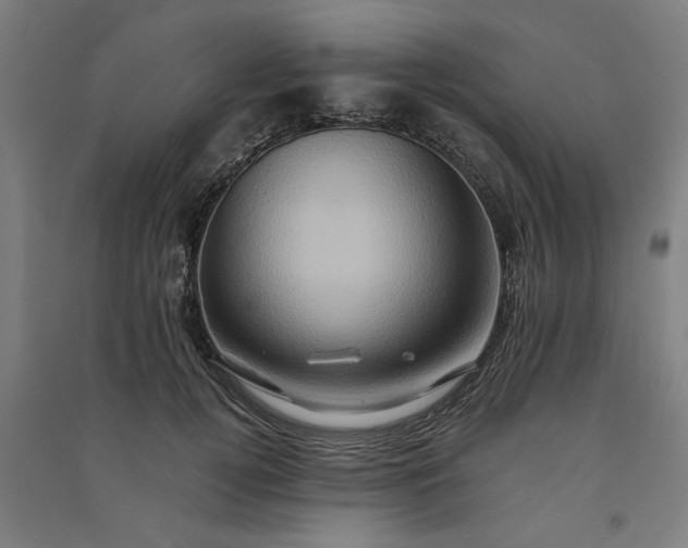 X0000091080752200708201433