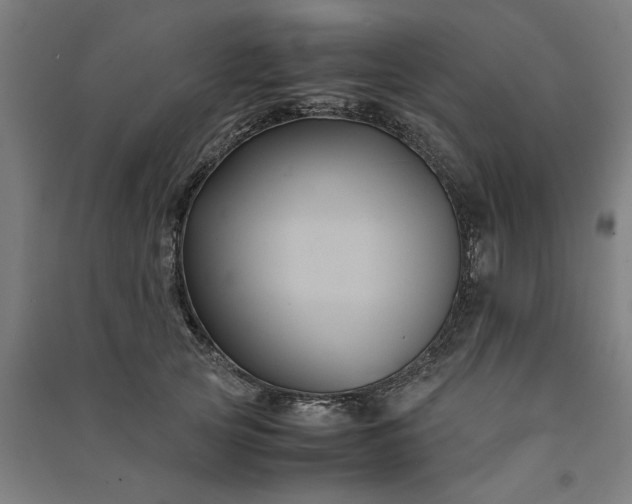 X0000091080753200708201433