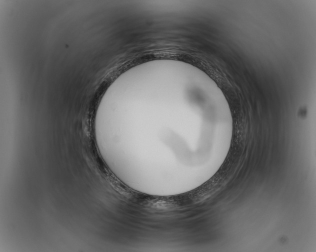 X0000091080755200708201433