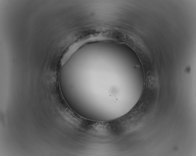 X0000091080756200708201433