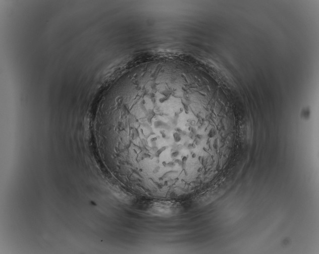 X0000091080757200708201433