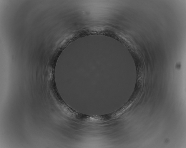 X0000091080758200708201433