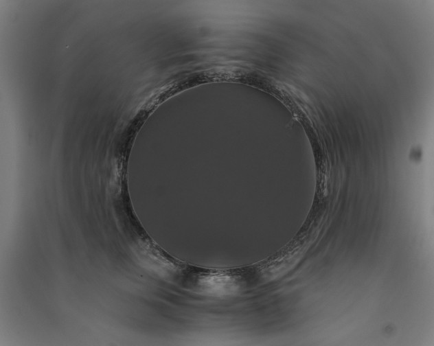 X0000091080759200708201433