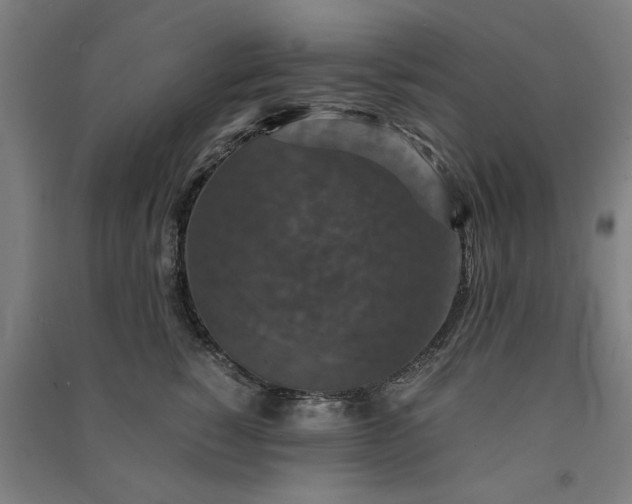 X0000091080760200708201433