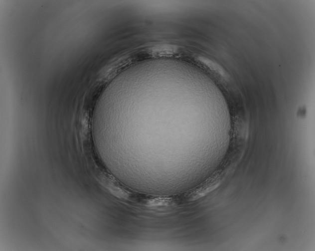 X0000091080761200708201433