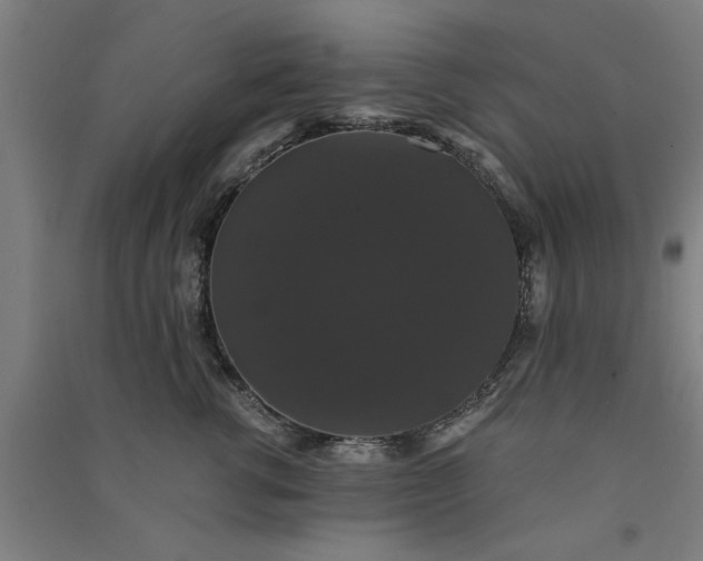 X0000091080762200708201433