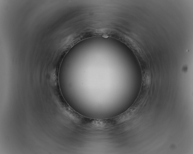 X0000091080764200708201433