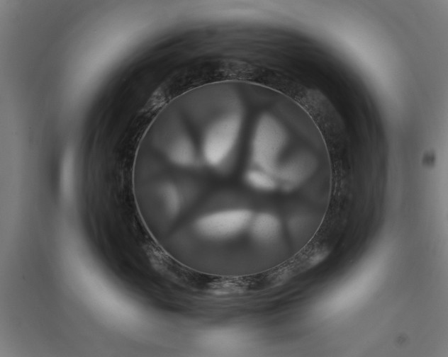 X0000091080765200708201433