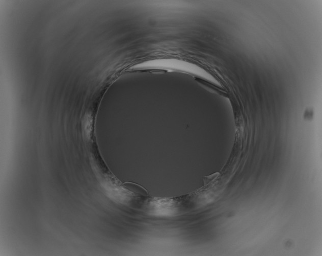 X0000091080767200708201433