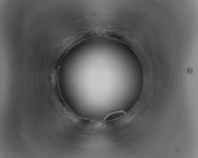 X0000091080768200708201433