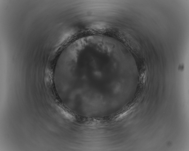 X0000091080772200708201433