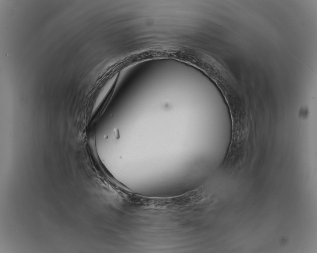 X0000091080773200708201433