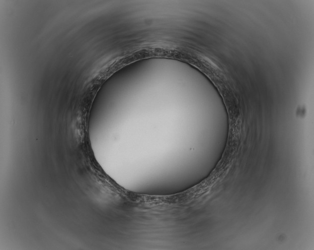 X0000091080774200708201433