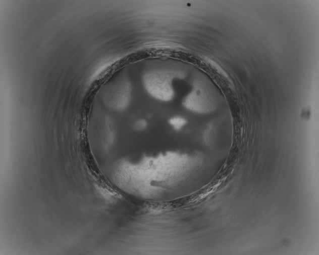 X0000091080775200708201433