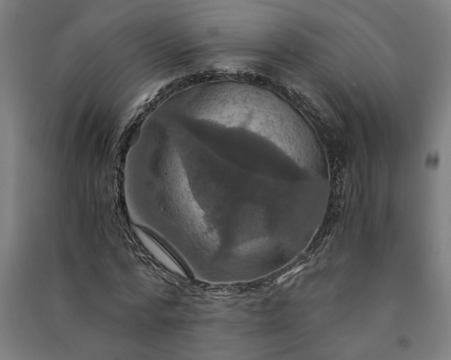 X0000091080776200708201433