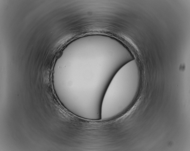 X0000091080777200708201433