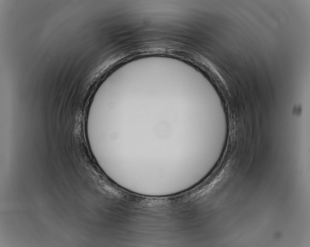 X0000091080778200708201433