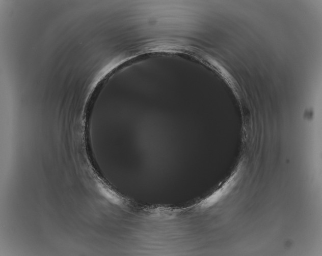 X0000091080779200708201433