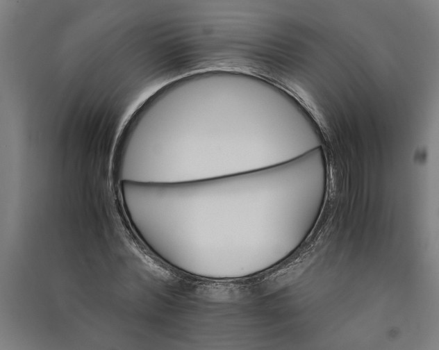 X0000091080780200708201433