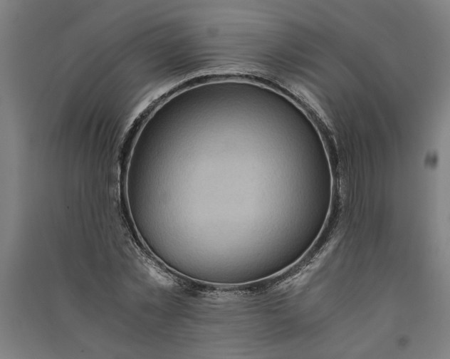 X0000091080781200708201433