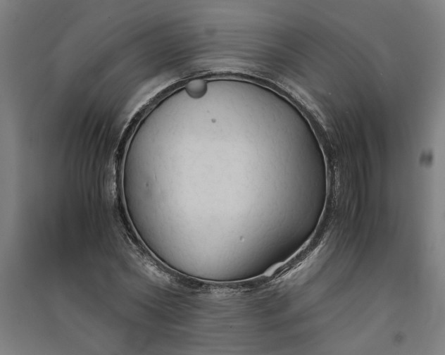 X0000091080782200708201433