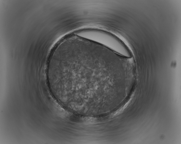 X0000091080783200708201433