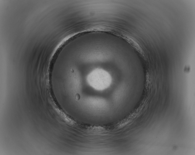 X0000091080784200708201433